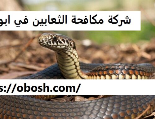 شركة مكافحة الثعابين في ابوظبي |0547137712